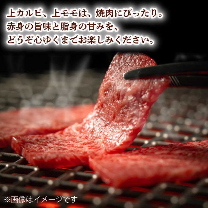 【ふるさと納税】霜降り 焼肉セット 上カルビ 上モモ 計400g (200g×2) 長崎和牛 焼き肉 【夢ファームシュシュ】[WF21] 牛肉 カルビ モモ 和牛 焼肉 霜降り f423238-hasami-10007194 長崎県波佐見町 サンプル画像2