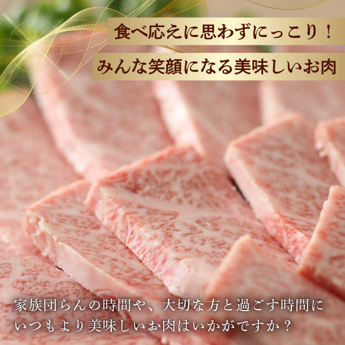 【ふるさと納税】霜降り 焼肉セット 上カルビ 上モモ 計400g (200g×2) 長崎和牛 焼き肉 【夢ファームシュシュ】[WF21] 牛肉 カルビ モモ 和牛 焼肉 霜降り f423238-hasami-10007194 長崎県波佐見町 サンプル画像3