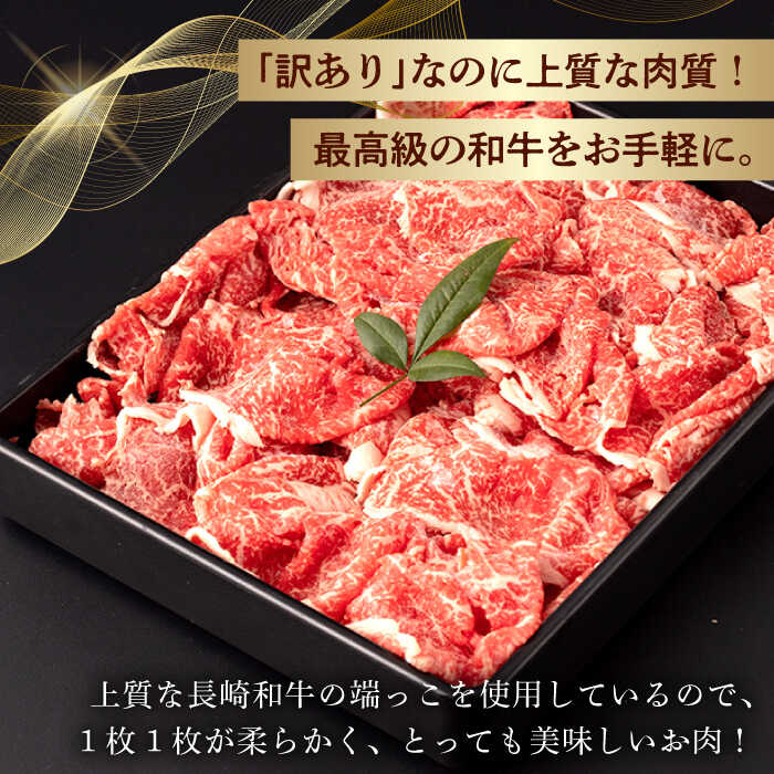 【ふるさと納税】【第3回定期便】【訳あり】 切り落とし 600g 長崎和牛 黒毛和牛 【夢ファームシュシュ】[WF35] 和牛 牛肉 牛肉 赤身 切り落とし 小分け カレー すき焼き