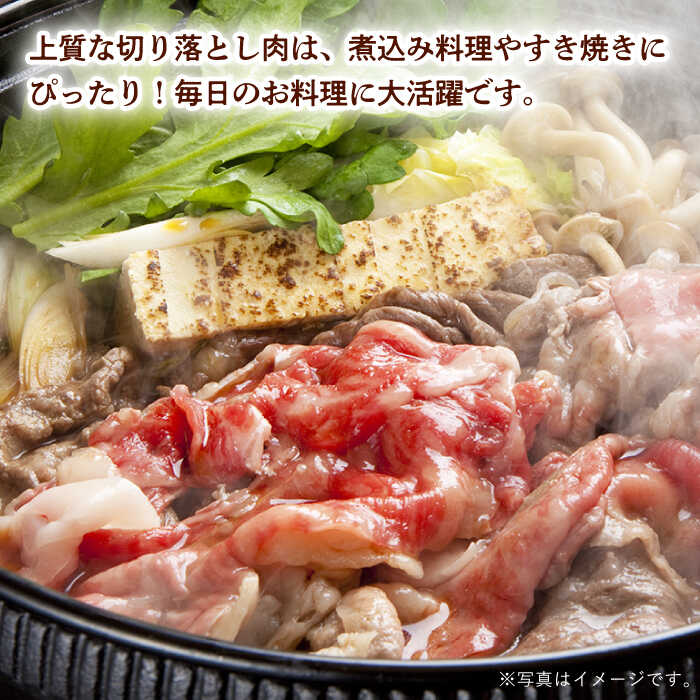 【ふるさと納税】【第6回定期便】【訳あり】 切り落とし 1.0kg (200g×5) 長崎和牛 黒毛和牛 【夢ファームシュシュ】[WF39] 和牛 牛肉 牛肉 赤身 切り落とし 小分け カレー すき焼き f423238-hasami-10007212 長崎県波佐見町 サンプル画像2