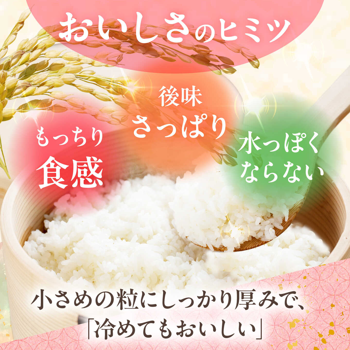 【ふるさと納税】【令和7年度米】【全3回定期便】ヒノヒカリ 白米 5kg×3回 計15kg波佐見町産【冨永米穀店】 [ZF04] f423238-hasami-10006134 長崎県波佐見町 サンプル画像3