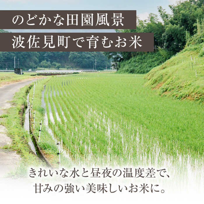 【ふるさと納税】【令和7年度米】【全6回定期便】にこまる 白米 5kg×6回 計30kg 波佐見町産【冨永米穀店】 [ZF08]