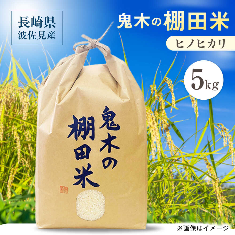 ヒノヒカリ 長崎県波佐見町