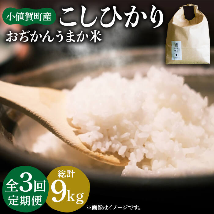 [全3回定期便] お米 コシヒカリ おぢかんうまか米(小値賀町産こしひかり 3kg ・精白米) [DAB011] 長崎 五島列島 小値賀 国産 コシヒカリ こしひかり 米 お米 白米 ご飯 精米 お弁当 おにぎり 常温 30000 30000円 3万円