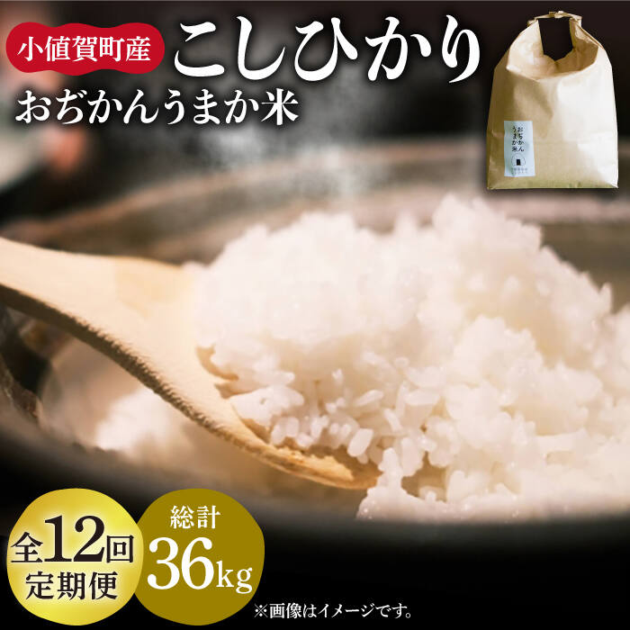 【全12回定期便】 米 お米 おぢかんうまか米（小値賀町産こしひかり 3kg ・精白米） [DAB013] 長崎 五島列島 小値賀 島 国産 コシヒカリ こしひかり 白米 ご飯 精米 お弁当 おにぎり 常温 120000 120000円 12万円