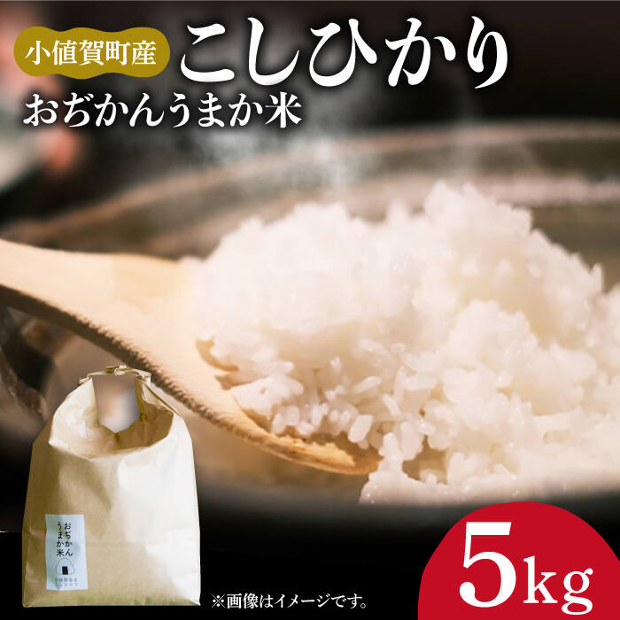 【5kg】 米 お米 おぢかんうまか米（小値賀町産こしひかり 5kg ・精白米） [DAB014] 長崎 五島列島 小値賀 国産 コシヒカリ こしひかり 米 お米 白米 ご飯 精米 お弁当 常温 13000 13000円