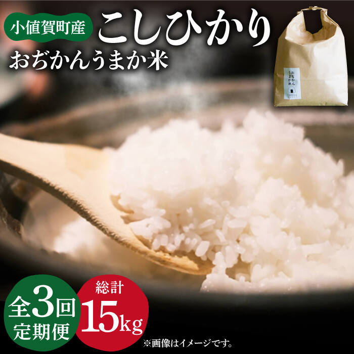 【全3回定期便】 コシヒカリ5kg おぢかんうまか米（精白米） [DAB015] 長崎 五島列島 小値賀 島 国産 コシヒカリ こしひかり 米 お米 白米 ご飯 精米 お弁当 おにぎり 常温 37000 37000円