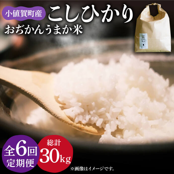 【全6回定期便】 コシヒカリ 5kg おぢかんうまか米（小値賀町産こしひかり 5kg ・精白米） [DAB016] 長崎 五島列島 小値賀 島 国産 コシヒカリ こしひかり 米 お米 白米 ご飯 精米 お弁当 おにぎり 常温 74000 74000円