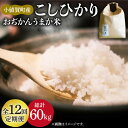 10位! 口コミ数「0件」評価「0」【全12回定期便】 コシヒカリ 5kg おぢかんうまか米（精白米） [DAB017] 長崎 五島列島 長崎 小値賀 島 国産 コシヒカリ こ･･･ 