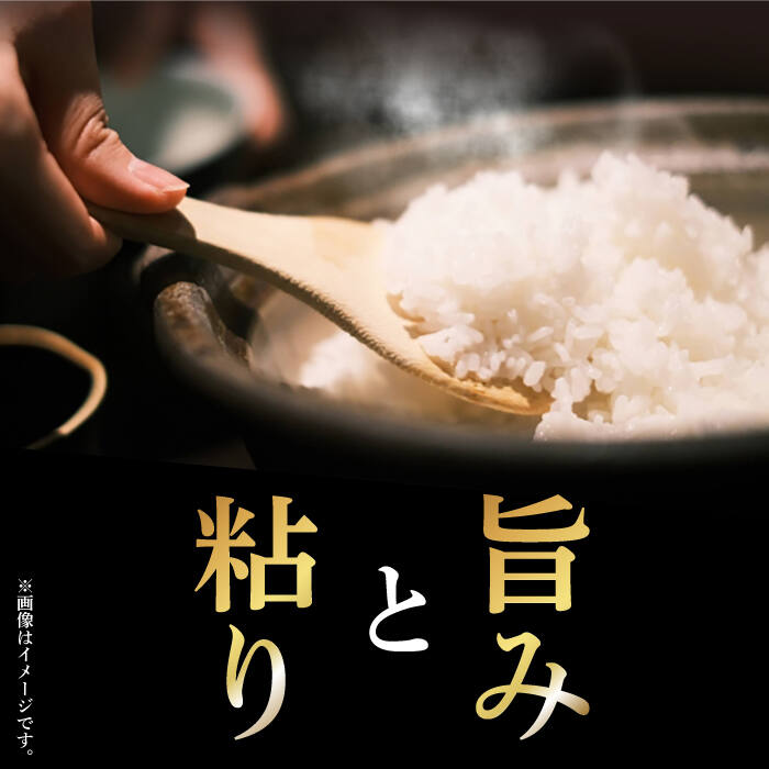 【ふるさと納税】【全2回定期便】 コシヒカリ 3kg おぢかんうまか米（小値賀町産こしひかり 3kg ・精白米） [DAB037] 長崎 五島列島 小値賀 島 国産 コシヒカリ こしひかり 米 お米 白米 ご飯 精米 お弁当 おにぎり 常温 18000 18000円