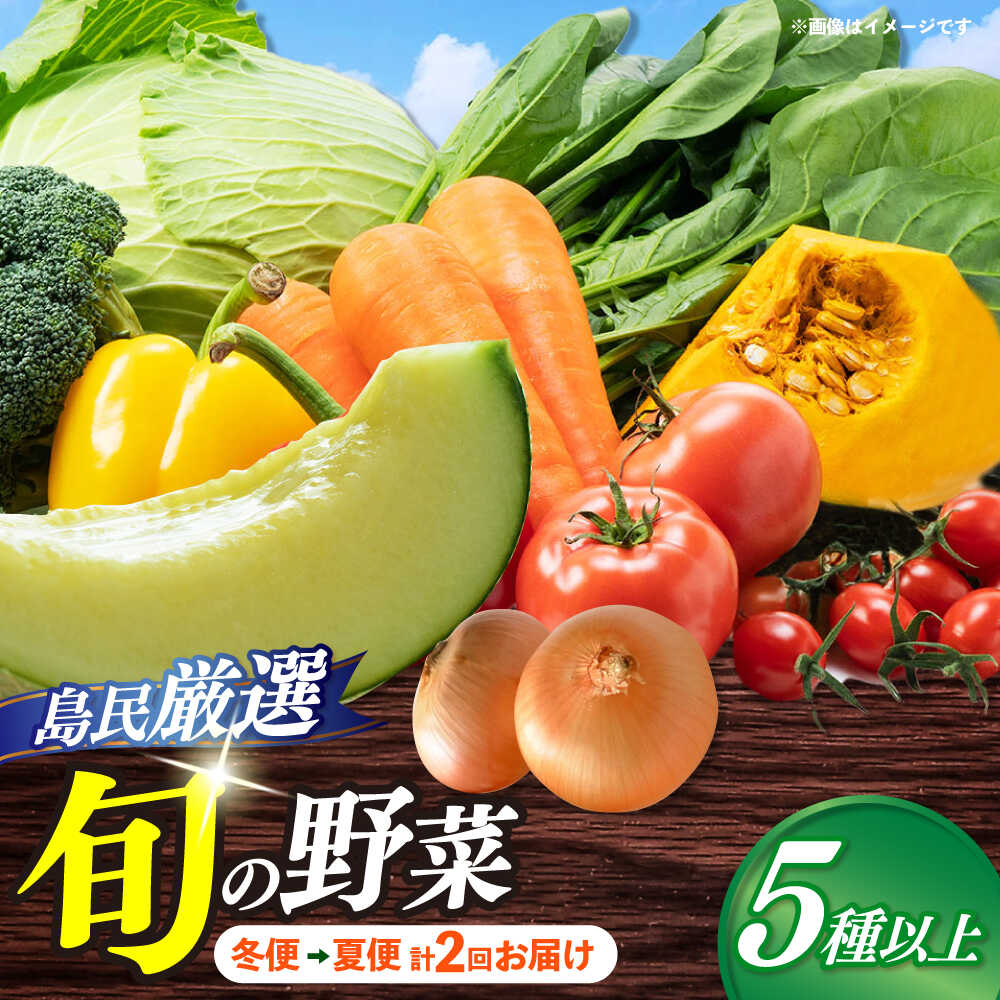 【8月〜10月先行受付】【冬季初回発送】小値賀島で育った新鮮野菜おまかせセット 冬季1回・夏季1回お届け[DAB081]