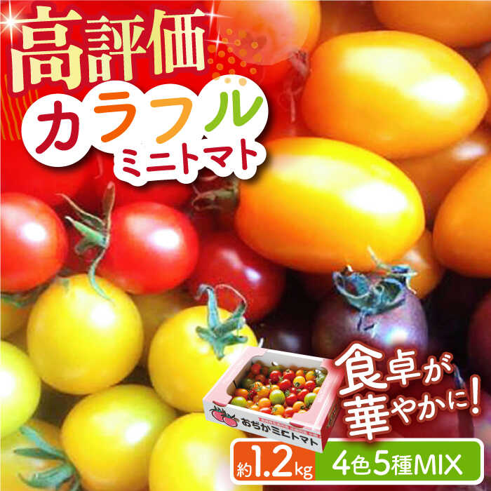 [2023年12月初旬〜2024年5月下旬発送分] カラフル ミニトマト 4色5種MIX 1.2kg [小値賀町]長崎 五島列島 国産[りんたろうファーム] [DAE001] トマト とまと ミニとまと 野菜 サラダ お弁当 常温 9000 9000円 9千円