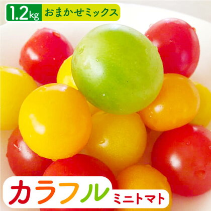 【2023年12月初旬～2024年5月下旬発送分】おまかせMIX カラフル ミニトマト 約1.2kg【小値賀町】長崎 五島列島 島 国産《りんたろうファーム》 [DAE002] トマト とまと ミニとまと 野菜 サラダ お弁当 常温 7000 7000円 7千円