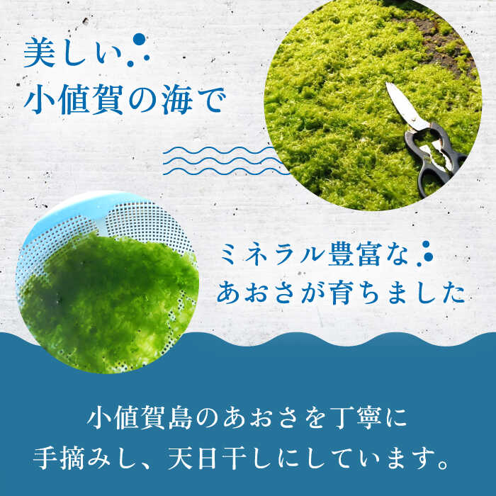 【ふるさと納税】 小値賀でとれたあおさ 12g×2袋 《factory333》[DAS007] 長崎 五島列島 小値賀 あおさ 青さ 海藻 味噌汁 お吸い物 乾燥 磯部 常温 7000 7000円 7千円