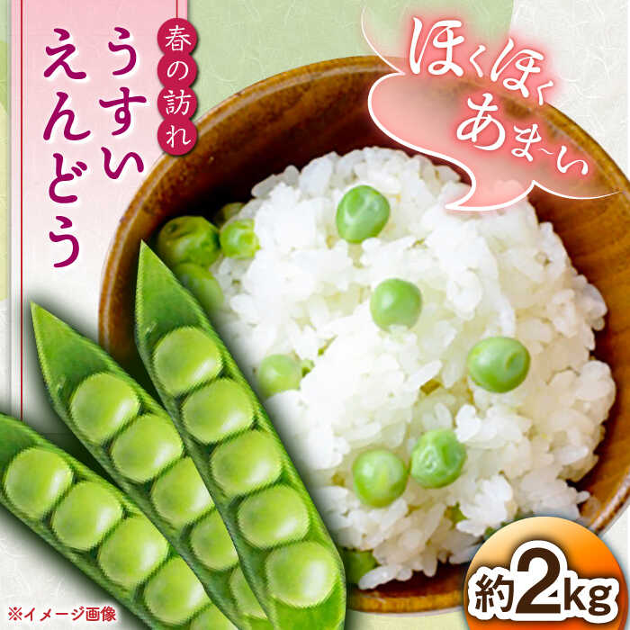 【ふるさと納税】【2024年3月下旬～4月末発送分】うすいえんどう 約2kg ≪小値賀町≫【ながさき西海農協小値賀地区園芸部会】 [DAT006] えんどう エンドウ 実えんどう 野菜 常温 8000 8000円 8千円