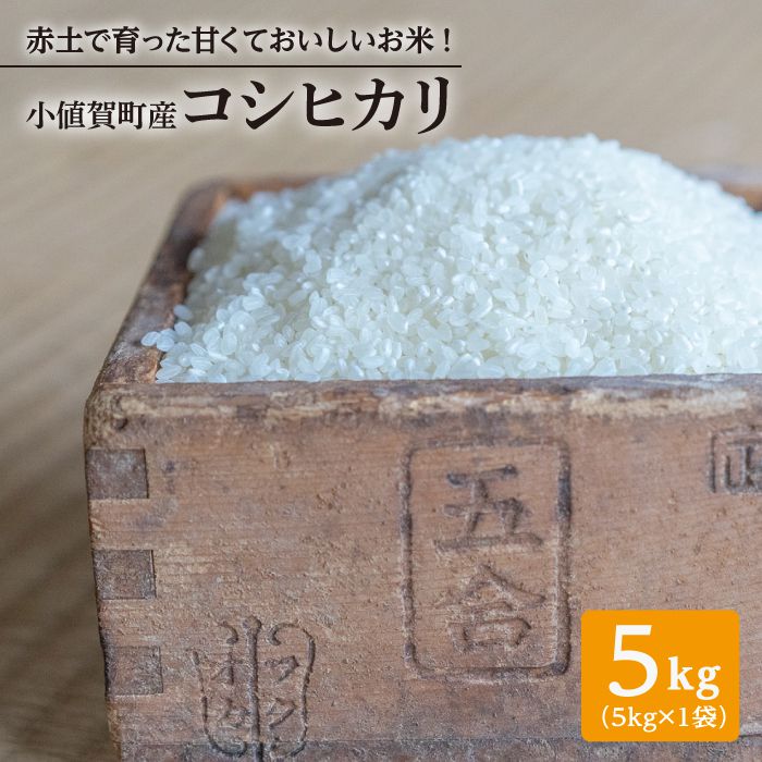 【赤土で育った】小値賀町産コシヒカリ 5kg＜伊藤紀明＞ [DBC001] 常温 10000 10000円 1万円
