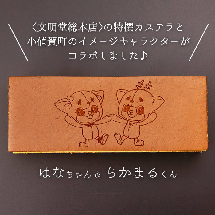 【ふるさと納税】【全3回定期便】 おぢか焼印 特撰 カステラ 580g 1箱 「ちかまるくん」 《文明堂総本店》 [DBF006] かすてら 和菓子 菓子 常温 ギフト 手土産 スイーツ おやつ 卵 ゆるキャラ キャラクター 常温