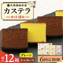 【ふるさと納税】【6回定期便】カット包装カステラ 2箱入 （プレーン・チョコレート） ≪小値賀町≫ 【株式会社文明堂総本店】 カステラ かすてら 菓子 お菓子 和菓子 常温 [DBF017]