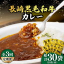 【ふるさと納税】【3回定期便】【5分で完成！】 長崎黒毛和牛 レトルト カレー （160g×10袋）《小値賀町》【有限会社長崎フードサービ..