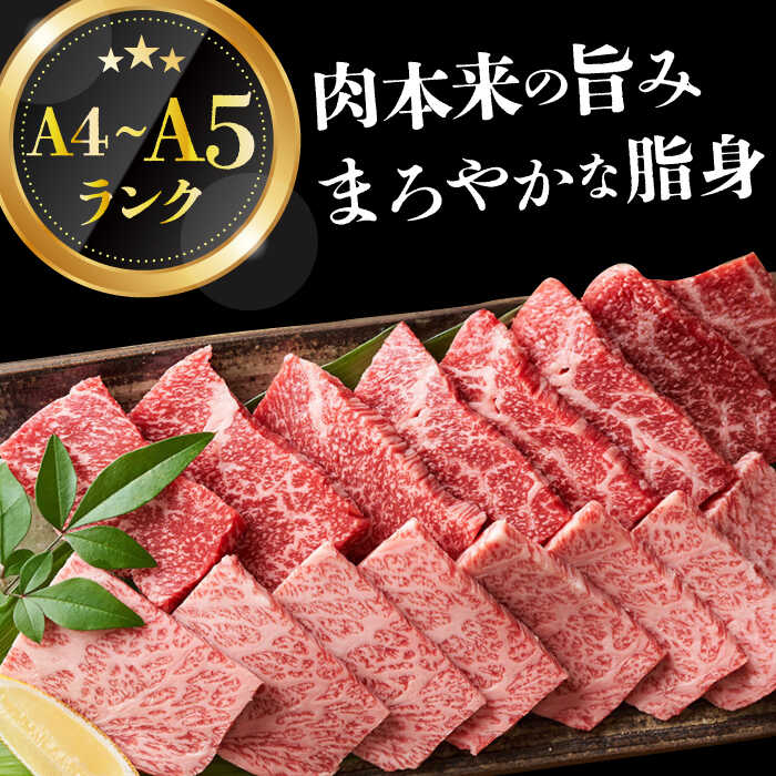長崎県小値賀町の画像3