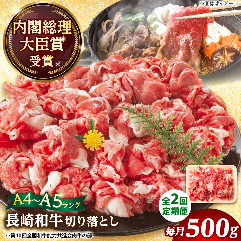 [全2回定期便][A4〜A5]長崎和牛切り落とし 500g[株式会社 MEAT PLUS]