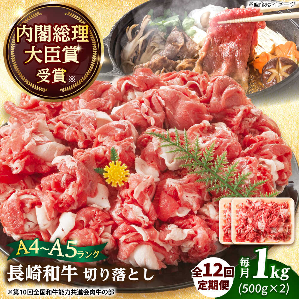 [全12回定期便][A4〜A5]長崎和牛切り落とし 1kg(500g×2p)[株式会社 MEAT PLUS][DBS056] 切り落とし きり落とし きりおとし 和牛切り落とし 牛肉切り落とし 国産 国産和牛 長崎和牛 和牛 牛肉 定期便 贅沢