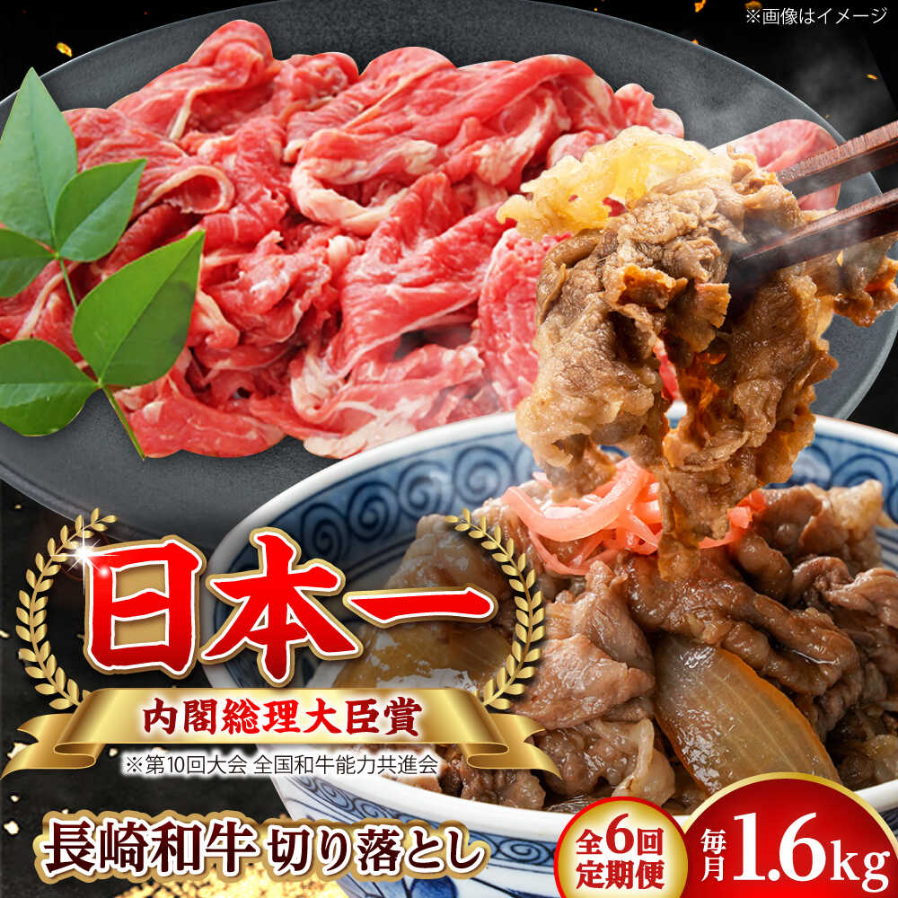 Rakuten - 【ふるさと納税】【全6回定期便】長崎和牛 切り落とし 総計9.6kg （約1.6kg/回）【ながさき西海農業協同組合】 [DBV036][DBV036]