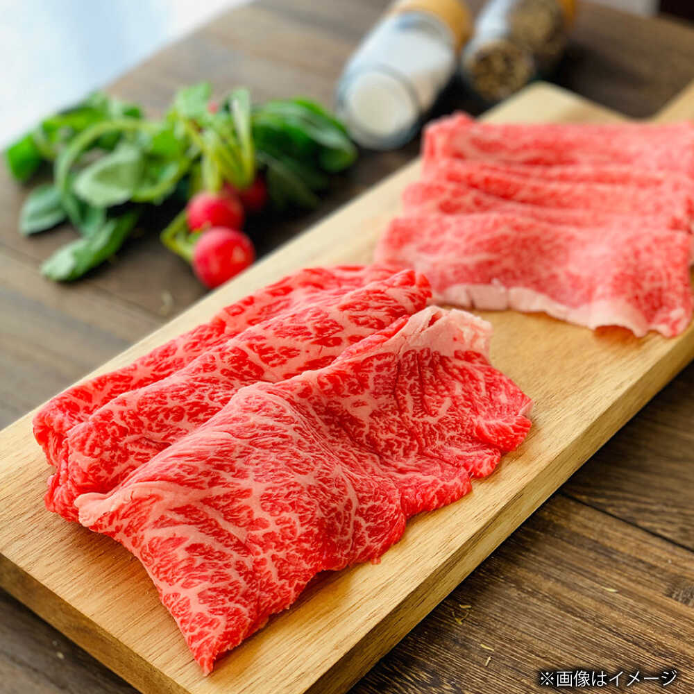 【ふるさと納税】【全12回定期便】長崎和牛 肩ローススライス 総計6.0kg （約500g/...