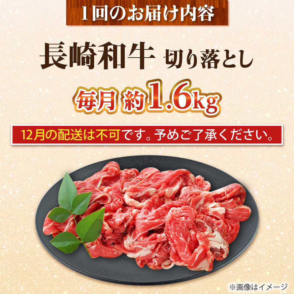 【ふるさと納税】【全12回定期便】長崎和牛 切り落とし 総計19.2kg （約1.6kg/回）【ながさき西海農業協同組合】 [DBV048][DBV048]