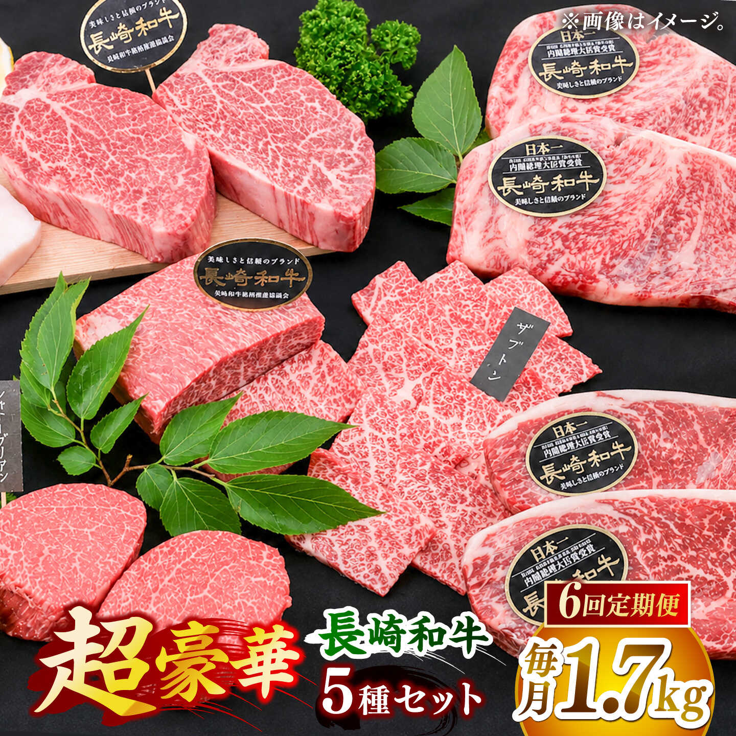 【全6回定期便】「希少部位 食べ比べ 」長崎和牛 贅沢 ステーキ 5種 堪能セット 計10.2kg （約1.7kg/回）【黒牛】[DBZ083]