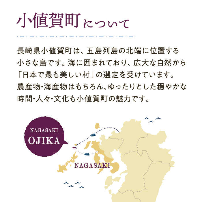【ふるさと納税】【返礼品なし】長崎県小値賀町 ふるさと応援寄附金（4,000円分）[DYZ003] 応援 自治体応援 応援寄附 小値賀 長崎 5,000円以下
