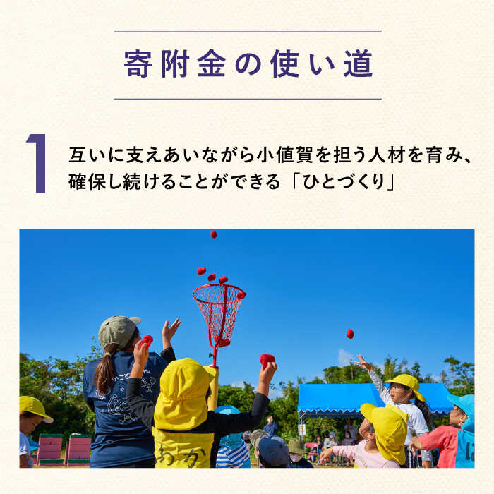 【ふるさと納税】【返礼品なし】長崎県小値賀町 ふるさと応援寄附金（4,000円分）[DYZ003] 応援 自治体応援 応援寄附 小値賀 長崎 5,000円以下