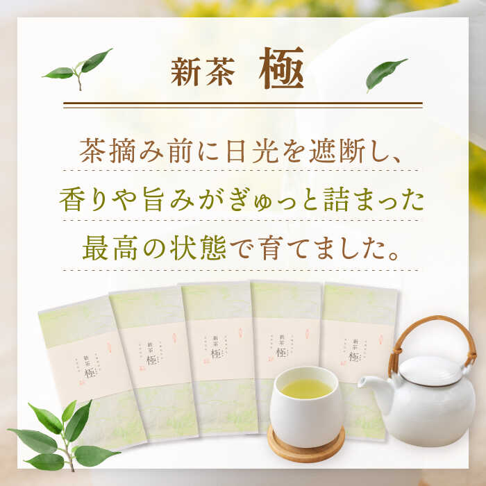 【ふるさと納税】【2023年度産 新茶】「こだわりの逸品」 有機栽培茶 極 (50g×5本)【北村茶園・茶の間】 [QAD034] 緑茶 煎茶 お茶 茶葉 日本茶 オーガニック 有機栽培 ギフト 贈答 母の日 3万2千円 32000円