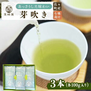 【ふるさと納税】【爽やかな旨味】さざの 有機栽培茶 芽吹き 100g×3本【宝緑園】 [QAH006] 緑茶 煎茶 お茶 茶葉 日本茶 オーガニック 有機栽培 ギフト 贈答 プレゼント エコファーマー 人気 ギフト 贈り物 贈答用 9千円 9000円 10000円 1万円 以下