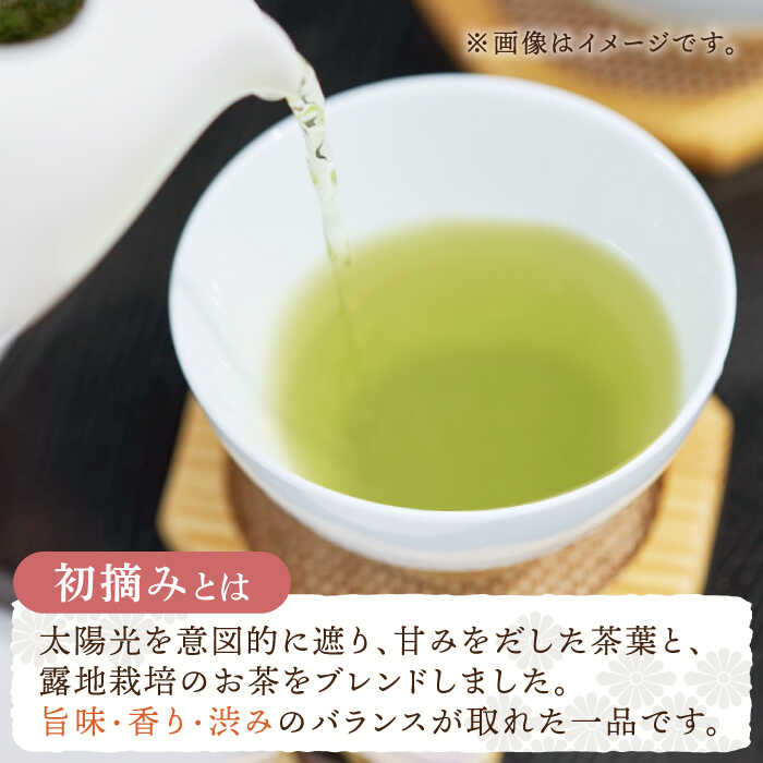 【ふるさと納税】【全3回定期便】「こだわりブレンド茶」さざの 有機栽培茶 初摘み （100g×3本/回）【宝緑園】 [QAH013] 緑茶 煎茶 お茶 茶葉 日本茶 オーガニック 有機栽培 ギフト 贈答 プレゼント エコファーマー