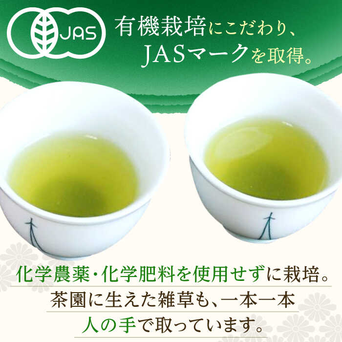 【ふるさと納税】【全12回定期便】「1番茶の濃厚な旨味！」さざの 有機栽培茶 極 （100g×3本/回）【宝緑園】 [QAH024] 緑茶 煎茶 お茶 茶葉 日本茶 オーガニック 有機栽培 ギフト 贈答 プレゼント エコファーマー