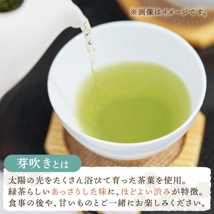 【ふるさと納税】【全3回定期便】「あっさりとした有機栽培茶」さざの 有機栽培茶 芽吹き （100g×3本/回）【宝緑園】 [QAH025] 緑茶 煎茶 お茶 茶葉 日本茶 オーガニック 有機栽培 ギフト 贈答 プレゼント エコファーマー