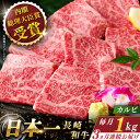 【ふるさと納税】【全3回定期便】 長崎和牛 カルビ 総計3.0kg （約1.0kg×3回）【ながさき西海農業協同組合】 [QAK016] 肉 和牛 牛肉 焼き肉 バーベキュー BBQ 赤身 焼肉 ランチ 丼 さざちょう おすすめ 17万8千円 178000円