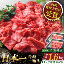 【ふるさと納税】【全6回定期便】 長崎和牛 切り落とし 総計9.6kg （約1.6kg×6回）【ながさき西海農業協同組合】 [QAK036] 肉 和牛 牛肉 人気 しゃぶしゃぶ すき焼き 焼肉 焼き肉 BBQ バーベキュー 霜降り さざちょう おすすめ 22万8千円 228000円