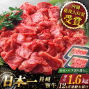 【ふるさと納税】【全12回定期便】 長崎和牛 切り落とし 総計19.2kg （約1.6kg×12回）【ながさき西海農業協同組合】 [QAK048] 肉 和牛 牛肉 人気 しゃぶしゃぶ すき焼き 焼肉 焼き肉 BBQ バーベキュー 霜降り さざちょう おすすめ 40万円 400000円