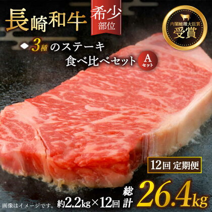 【全12回定期便】「希少部位 たっぷり 食べ比べ 」長崎和牛 贅沢3種の ステーキ Aセット 総計26.4kg （約2.2kg/回）【黒牛】 [QBD061] 肉 牛肉 ザブトン シャトーブリアン サーロイン 焼き肉 BBQ バーベキュー 227万4千円 2274000円