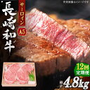 【ふるさと納税】【全12回定期便】長崎和牛 サーロイン ステーキ 総計4.8kg (400g/回)【焼肉おがわ】[QBI011] 牛肉 国産 和牛 サーロインステーキ 焼き肉 BBQ バーベキュー クリスマス おせち 誕生日 ギフト 贈り物 さざちょう おすすめ 高級 26万4千円 264000円 送料無料