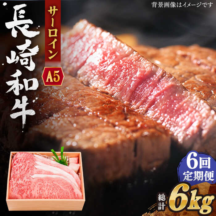 【ふるさと納税】【全6回定期便】長崎和牛 サーロイン ステーキ 総計6.0kg (1.0kg/回)【焼肉おがわ】[QBI013] 牛肉 国産 和牛 サーロインステーキ 焼き肉 BBQ バーベキュー クリスマス おせち 誕生日 ギフト 贈り物 さざちょう おすすめ 高級 36万4千円 364000 送料無料