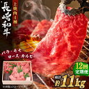 【ふるさと納税】【全12回定期便】長崎和牛 長崎和牛 上焼き肉 4種 詰め合わせ セット 総計11.04kg (920g/回)【焼肉おがわ】[QBI017] 焼き肉セット 牛肉 赤身 バラ モモ ロース カルビ 和牛 焼肉 ステーキ 薄切り クリスマス さざちょう おすすめ 高級 46万4千円 464000円