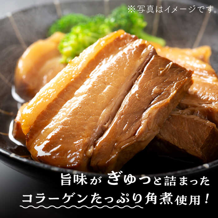 【ふるさと納税】【トロ～リとろける豚角煮】長崎 角煮まんじゅう 10個入 (約80g/個)【長崎中華本舗】[QBK002] 豚肉 角煮 肉まん 豚の角煮 中華まん パン 惣菜 長崎 特産品 中華料理 おやつ 冷凍 送料無料 中華街 中華 豚まん 17000円 1万7千円 3