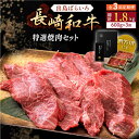 【ふるさと納税】【全3回定期便】長崎和牛 出島ばらいろ 特選焼肉 セット (ロース カルビ カタロース モモ のいずれか2種類)約300g×2【合同会社肉のマル...