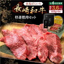 【ふるさと納税】【全6回定期便】長崎和牛 出島ばらいろ 特選焼肉 セット (ロース カルビ カタロース モモ のいずれか2種類)約300g×2 【合同会社肉のマ...