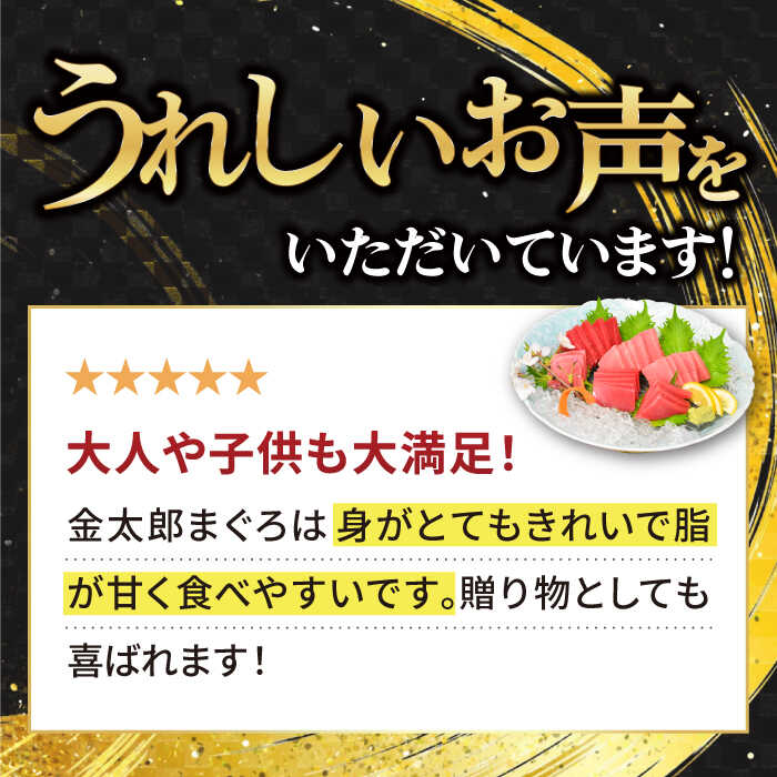 【ふるさと納税】【濃厚で脂があま～い！】金太郎 マグロ 冷凍 ブロック 中トロ 赤身 約850g まぐろ 鮪 海鮮 魚 刺身 さしみ サシミ 【徳丸】 [RAC010]