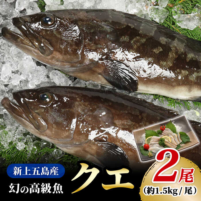 【ふるさと納税】【幻の超高級魚をご家庭で】 養殖 クエ まるごと 1.5kg×2尾【豊建設株式会社】 [RAE003]