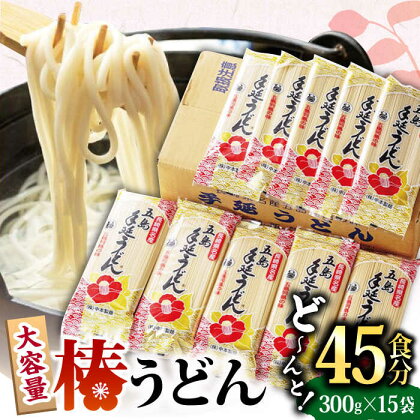 【大容量！人気商品】椿 うどん 300g×15袋 五島うどん 保存食 業務用 【中本製麺】 [RAO004]